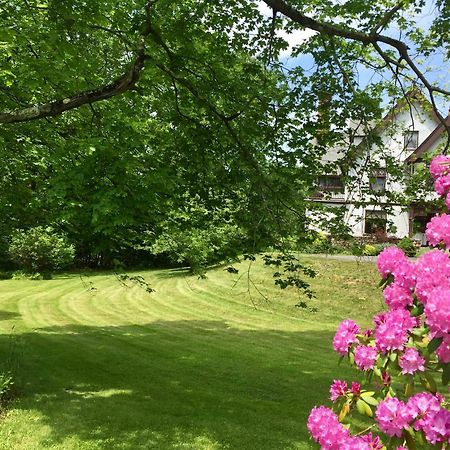 Manor House Bed & Breakfast Norfolk Exterior photo