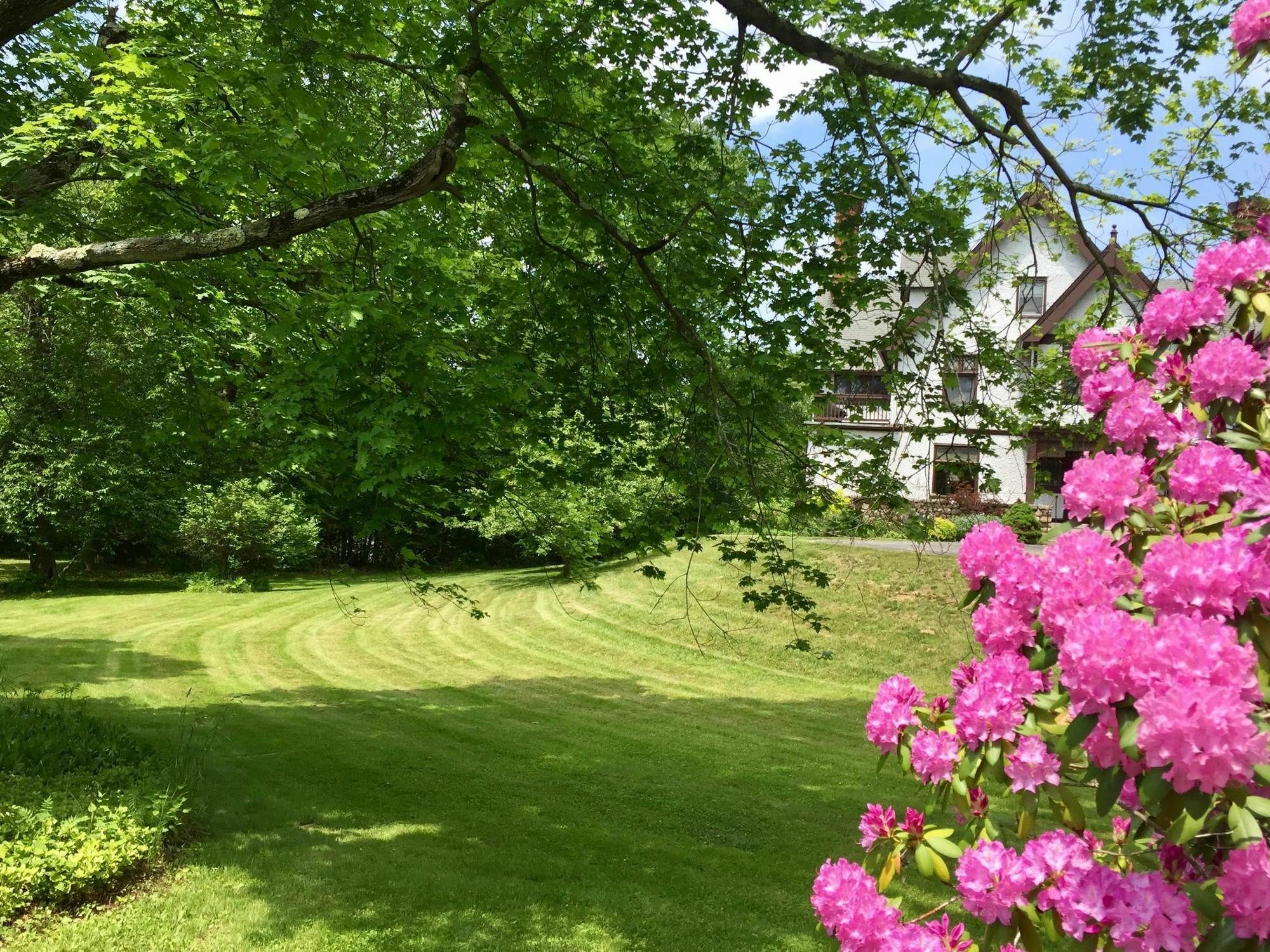 Manor House Bed & Breakfast Norfolk Exterior photo